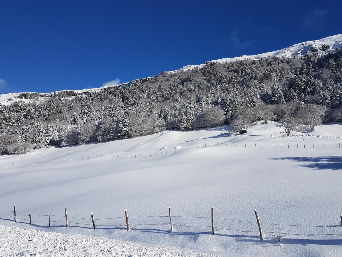 Résidence Wilson Le Mont-Dore Extérieur photo